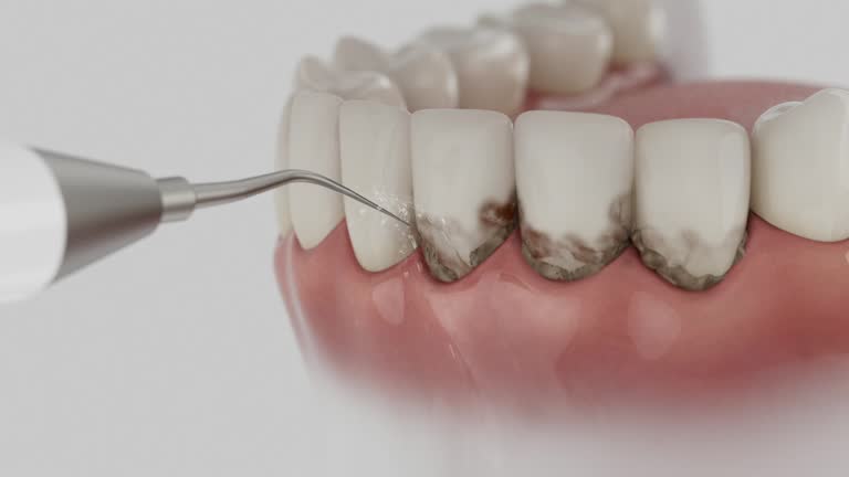Reliable Dental contractor in Williamsburg, KY by Dentist Open Now